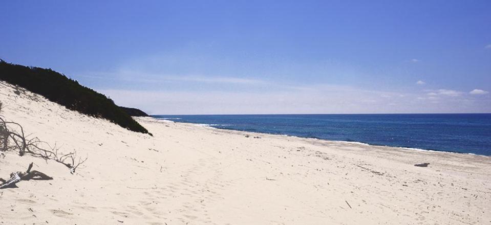 Agriturismo Santa Barbara Sarroch Ngoại thất bức ảnh